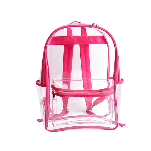 Transparent backpack